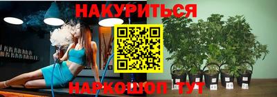 СК Краснодар