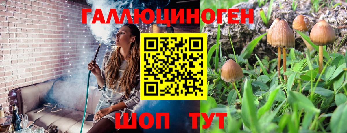Галлюциногенные грибы прущие грибы Урус-Мартан