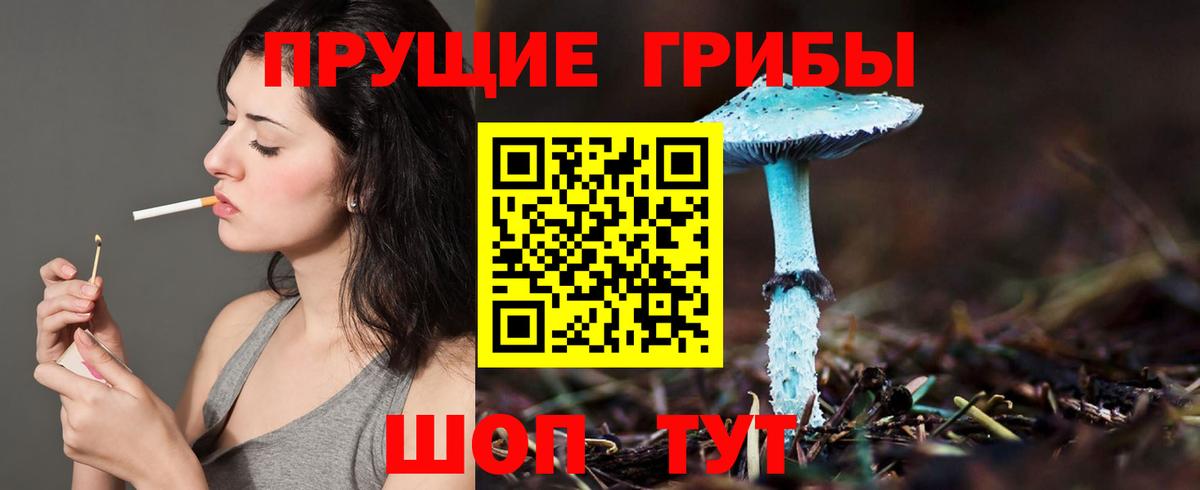 Галлюциногенные грибы мухоморы  Вход с VPN  Урус-Мартан 